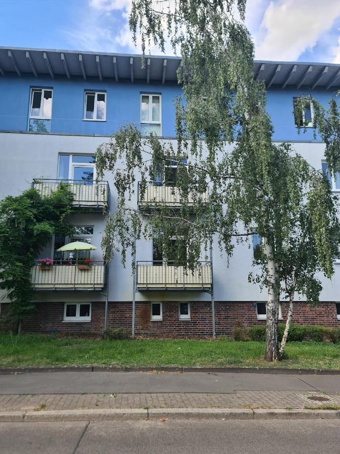 Casa Frida - Business Flat Near Ber, Kitchen, Bathroom, Balcony, Workspace, 24